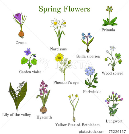 Spring flowers set 75226137