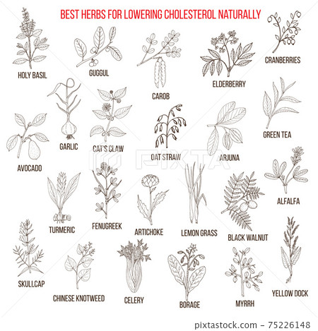Best medicinal herbs for lowering cholesterol 75226148