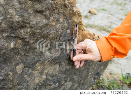 Frick fossil excavation site Frick fossil excavation site 75226362