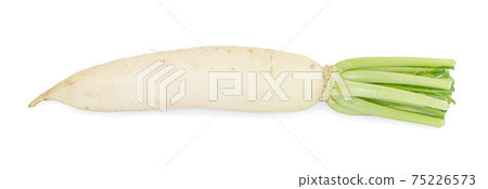 fresh white radish an isolated on white background 75226573