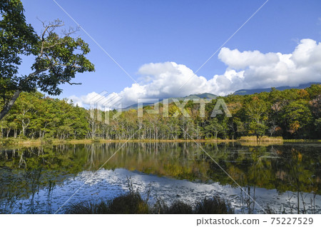 Shiretoko Five Lakes in Autumn Hokkaido 75227529