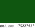 Bright dark green metal or fabric texture. Background. 75227627