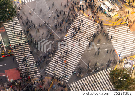 Shibuya Sky Shinjuku Shibuya Night Sky City Center Shibuya Scramble Square Scramble Crossing Afternoon Midnight Dark 75228392