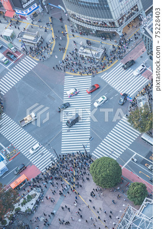 Shibuya Sky Shinjuku Shibuya Night Sky City Center Shibuya Scramble Square Scramble Crossing Afternoon Midnight Dark Shibuya Sky Shinjuku Shibuya Night Sky City Center Shibuya Scramble Square Scramble Crossing Afternoon Midnight Dark 75228403