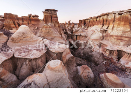Bisti Bisti 75228594