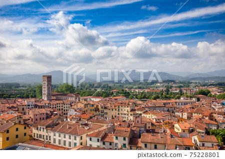 Lucca old town rooftop cityscape Tuscany Italy Lucca old town rooftop cityscape Tuscany Italy 75228801
