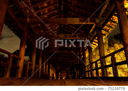 Special night visit: Tofukuji Temple in autumn Special night visit: Tofukuji Temple in autumn 75229779