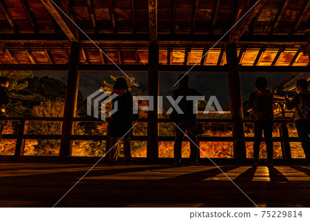 特別夜遊:秋天的東福寺 特別夜遊:秋天的東福寺 75229814