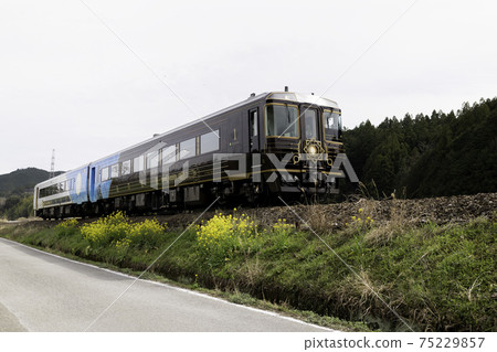 sightseeing train 75229857