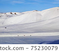 Snowmobile tour 75230079