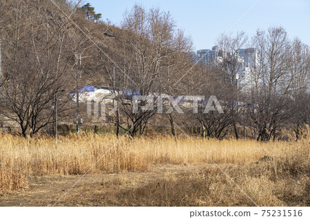 Eungbongsan, Seongdong-gu, Seoul Eungbongsan, Seongdong-gu, Seoul 75231516