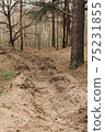 The forest protection strip passes through the pine forest and is designed to stop the fire in case of fire. 75231855