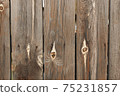 wood texture. wood. background old panels. knots on the tree 75231857