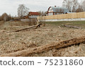 fallen trees on the background of wooden houses 75231860