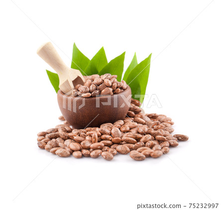 pinto beans isolated on white background 75232997