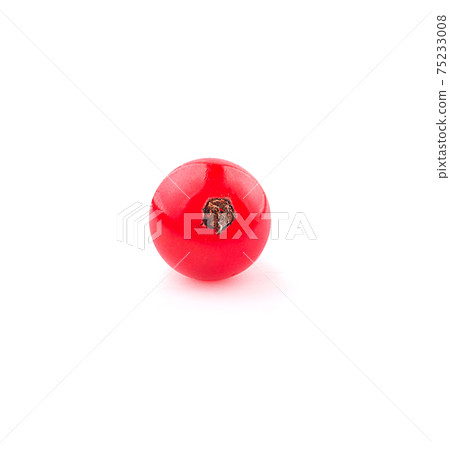 Red currant berries an isolated on White Background Red currant berries an isolated on White Background 75233008