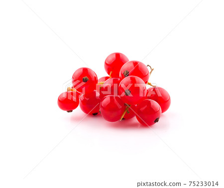 Red currant berries an isolated on White Background 75233014