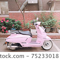 摩托車 75233018