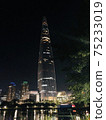 樂天世界塔夜景 75233019