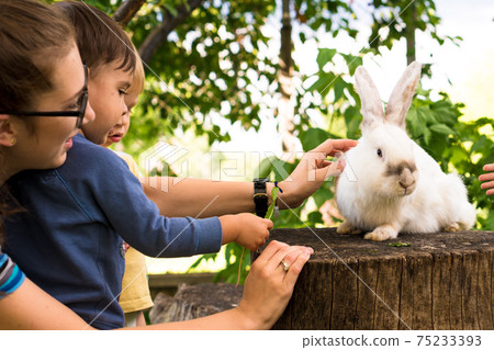 Small children feed a large white rabbit sitting on a tree stump in the garden in summer. Hare in wild meadow gnaws and eats grass in spring or summer. Animal, environmental protection. easter concept 75233393