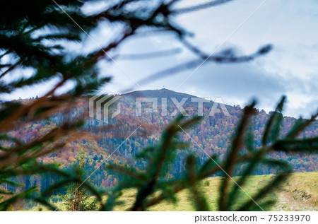 View of the mountains from under the branches. View of the mountains from under the branches. 75233970