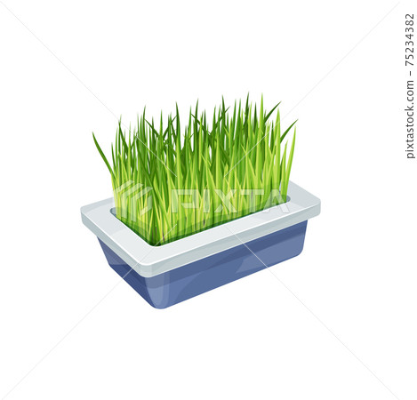 Pet grass bowl, cats care, animals food supplement 75234382