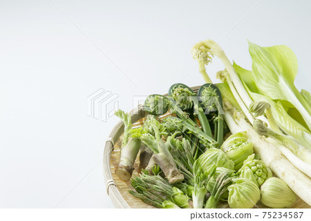 Wild plants served in a colander 75234587