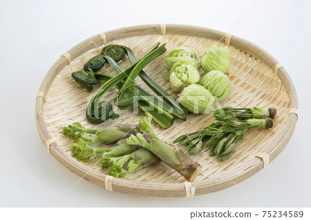 Wild plants served in a colander 75234589