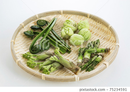 Wild plants served in a colander 75234591
