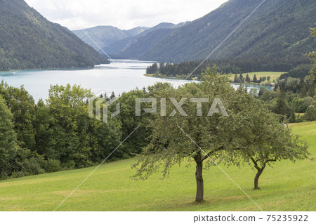Weissensee lake in Austria 75235922