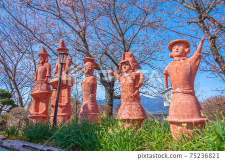 Haniwa and Sakura (Gotemba City Thank You Mountain) 75236821