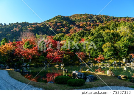 Autumn leaves in the Japanese garden in Kyoto 75237353