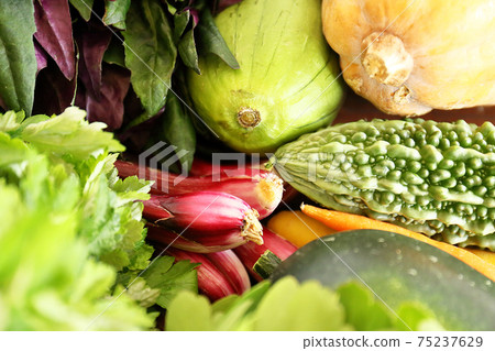 沖繩縣島蔬菜套餐 75237629