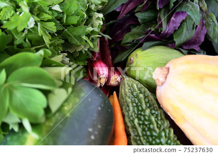 Okinawa prefecture island vegetable set Okinawa prefecture island vegetable set 75237630