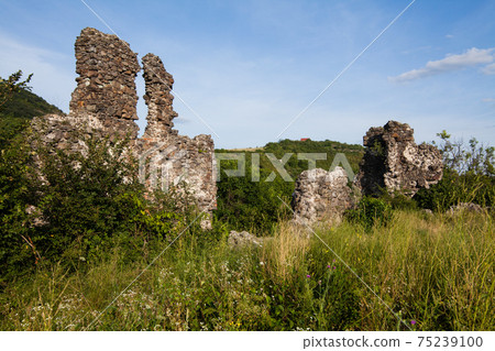 Ruins of castle on Black Mountain in Vinogradovo, Transcarpathian, Ukraine Ruins of castle on Black Mountain in Vinogradovo, Transcarpathian, Ukraine 75239100