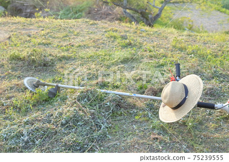 Mower and straw hat Engine-powered mower 75239555