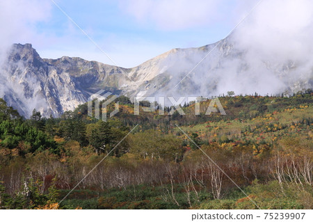 Autumn Northern Alps and Autumn Leaves Location: Tsugaike Natural Garden (Nagano Prefecture, Chubu Mountain National Park) Autumn Northern Alps and Autumn Leaves Location: Tsugaike Natural Garden (Nagano Prefecture, Chubu Mountain National Park) 75239907