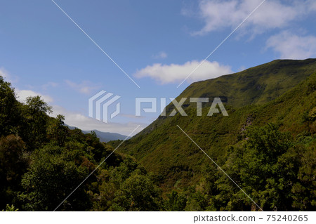 View of the green mountain and the blue sky 75240265