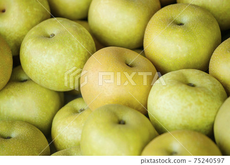 Pear fruit fruit Komizu pear image material Pear fruit fruit Komizu pear image material 75240597