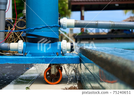 A filter pump cleans the pool water. Device for automatic cleaning of swimming pools 75240651