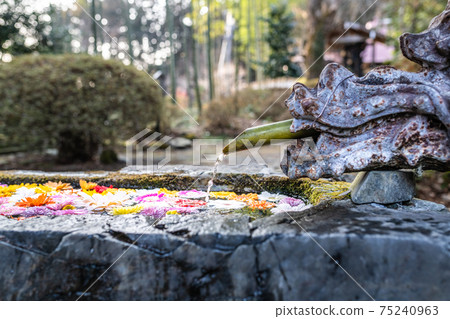 Oshu Yanaizu Kokuzoson山的金黃水。 Oshu Yanaizu Kokuzoson山的金黃水。 75240963