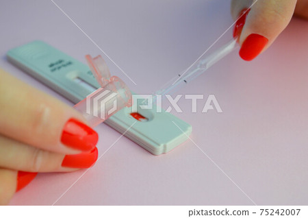coronavirus test on a pink matte background. medical procedure. pink lancet for finger piercing. a drop of blood is added to the test to determine the coronavirus coronavirus test on a pink matte background. medical procedure. pink lancet for finger piercing. a drop of blood is added to the test to determine the coronavirus 75242007