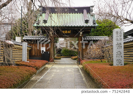 March Nakano 77 Fukuzoin / Yamamon 75242848