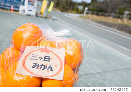 [Three-day mandarin orange] Mandarin orange purchased at a stall 75242955
