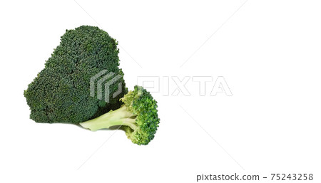 Organic broccoli (Brassica oleracea var. italica), with copy space 75243258