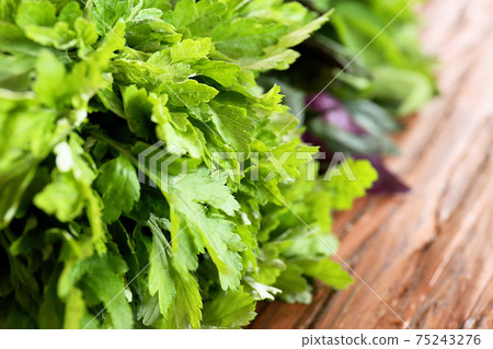 Hooch bar (wormwood) 75243276