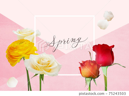 Spring flower background image 75243503