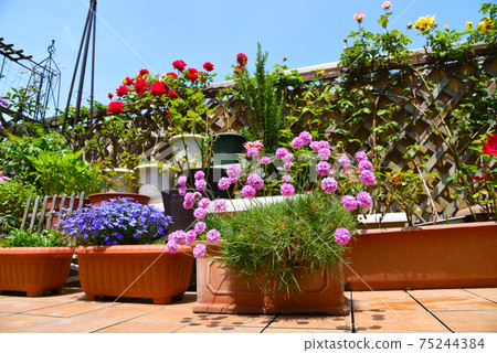 A lot of flowers, a happy life with flower garden gardening 75244384