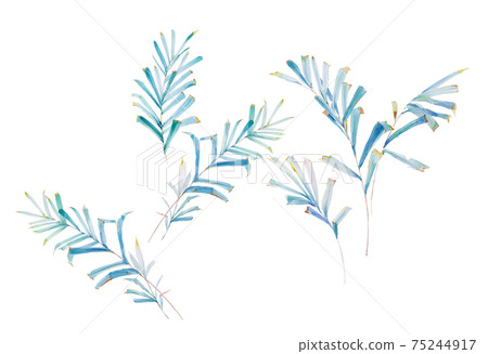  色彩豐富的花卉素材組合和設計元素 75244917