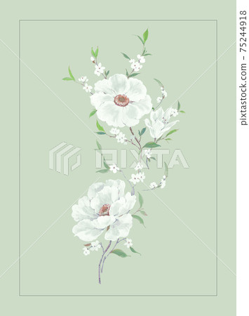 色彩豐富的花卉素材組合和設計元素 色彩豐富的花卉素材組合和設計元素 75244918